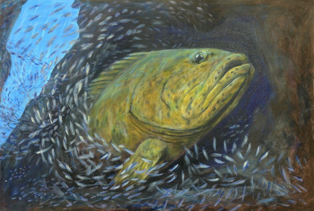 Eden Rock Goliath Grouper with Silver Sides 2017 by Monte Thornton $4340