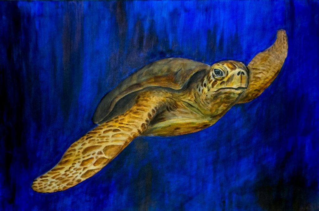 2015 Sea Turtle for Cayman Brac Rental property 1 of 16 by Monte Thronton.
