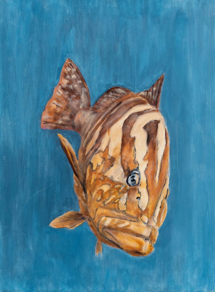 A Groupers off Scotts dock Cayman Brac 18x24 Acrylic-on-canvas-$740 by Monte Thornton
